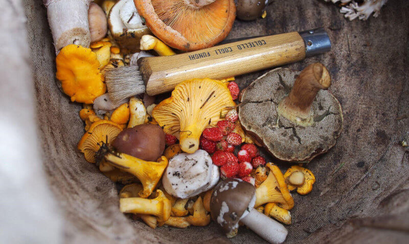 Vegetarian Naturals - Mushrooms